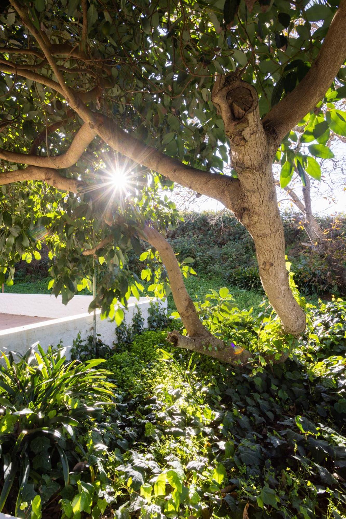 Lightbooking Casa De Campo Ortigal Tenerife La Esperanza  Bagian luar foto
